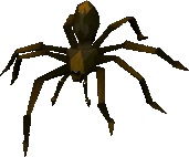 giant spider